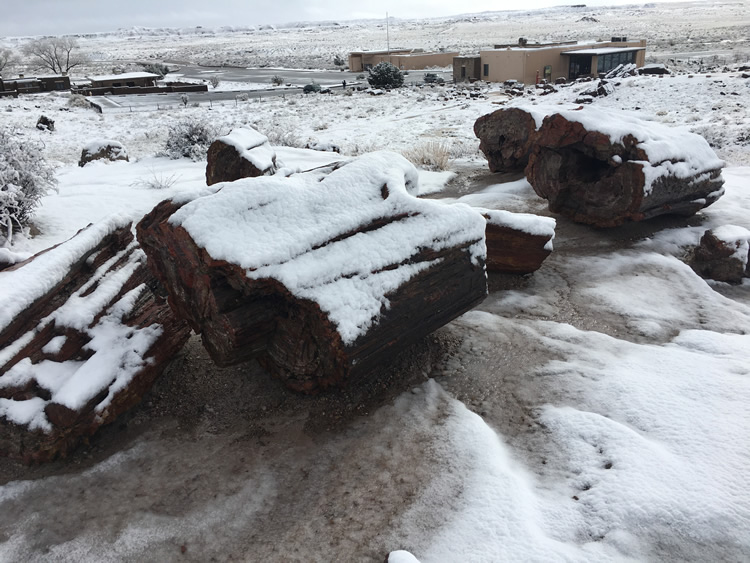 Petrified Forest National Park